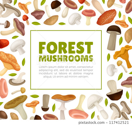 Mushroom Banner Design with Forest Plant with Stem and Cap Vector Template Mushroom Banner Design with Forest Plant with Stem and Cap Vector Template 117412521