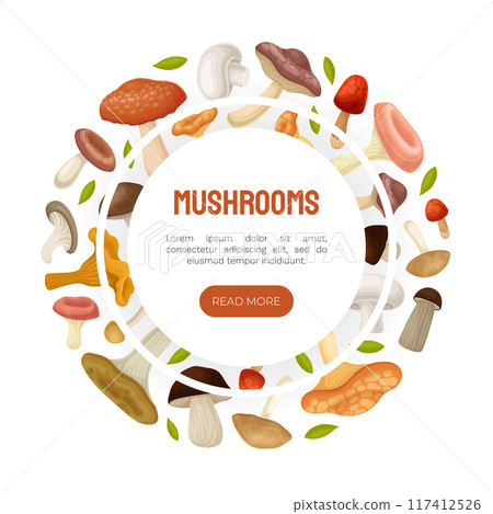 Mushroom Banner Design with Forest Plant with Stem and Cap Vector Template 117412526