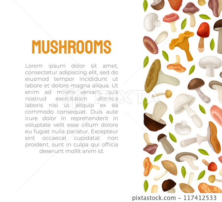 Mushroom Banner Design with Forest Plant with Stem and Cap Vector Template 117412533