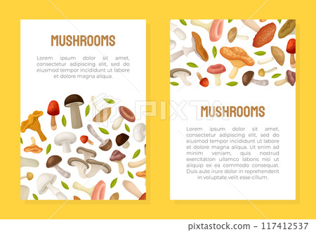 Mushroom Banner Design with Forest Plant with Stem and Cap Vector Template Mushroom Banner Design with Forest Plant with Stem and Cap Vector Template 117412537