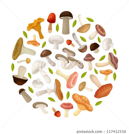 Mushroom Round Composition with Forest Plant with Stem and Cap Vector Template Mushroom Round Composition with Forest Plant with Stem and Cap Vector Template 117412538
