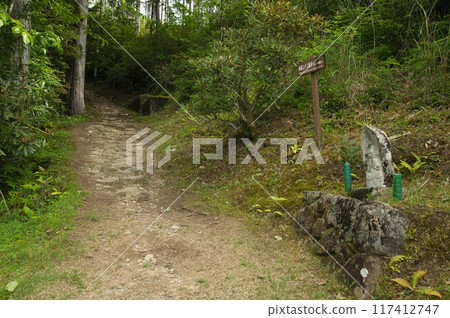 Hatenashigoe (30th Kannon stone statue) [Totsukawa Village, Nara Prefecture] 117412747