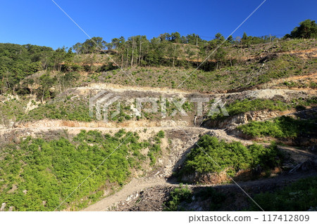 A road for heavy machinery built during forestry work 117412809