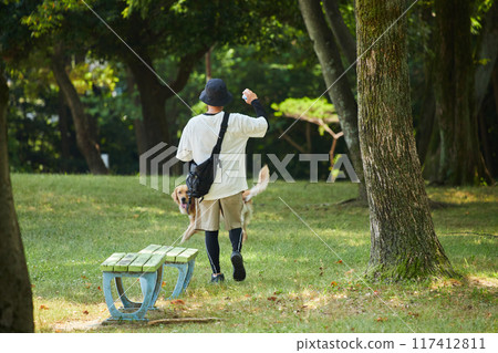 A man walking his dog in a park in midsummer A man walking his dog in a park in midsummer 117412811