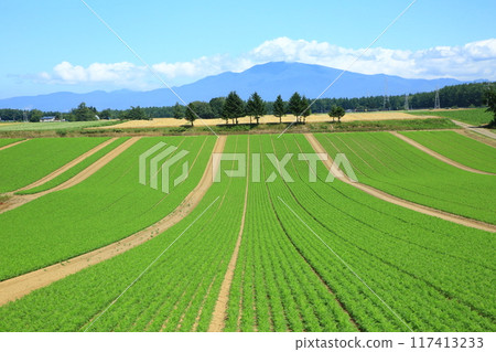 胡蘿蔔領域和山脈 胡蘿蔔領域和山脈 117413233