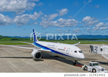 Airplane heading to the runway Airplane heading to the runway 117413452