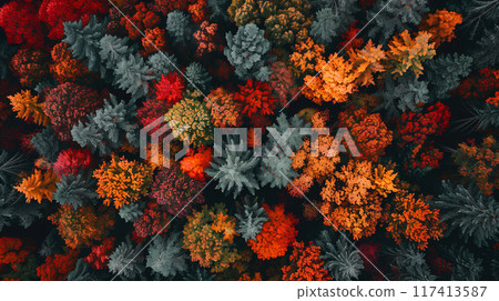 Top view of a forest in the Autumn season. Red, orange and green color tone. AI generated. Top view of a forest in the Autumn season. Red, orange and green color tone. AI generated. 117413587