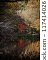 Autumn leaves reflected on the water surface Sunlight filtering through the trees 117414026