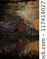 Autumn leaves reflected on the water 117414027
