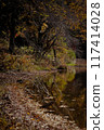 Autumn leaves reflected in a pond 117414028