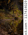 Autumn leaves reflected on the water 117414029