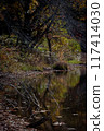 Autumn leaves reflected on the water 117414030