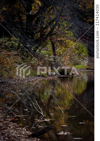 Autumn leaves reflected on the water 117414030