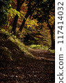 Fall leaves road 117414032