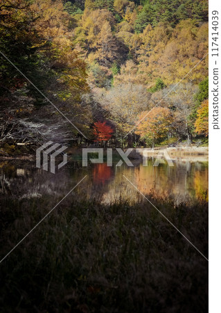 Autumn leaves reflected on the water Autumn leaves reflected on the water 117414039