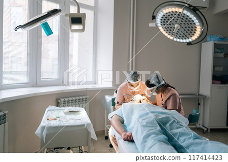 Professional two trichologist specialist collecting hair follicles from back of head of male patient for hair transplantation in clinic. Process of hair transplant with FUE Sapphire method. Professional two trichologist specialist collecting hair follicles from back of head of male patient for hair transplantation in clinic. Process of hair transplant with FUE Sapphire method. 117414423