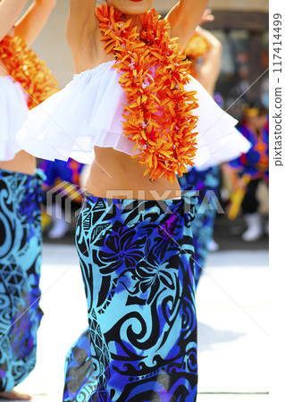 Nani Lei, a woman dancing the hula 117414499