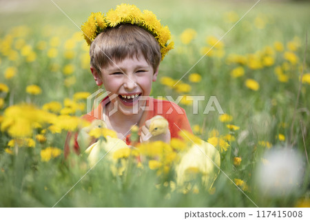 Happy child in dandelions with ducklings. Happy child in dandelions with ducklings. 117415008