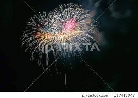 Fireworks 117415048