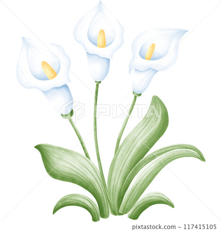 Wetlands clipart Png Wetlands clipart Png 117415105