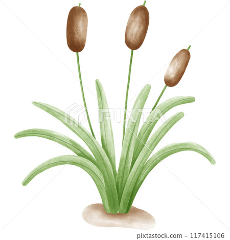 Wetlands clipart Png Wetlands clipart Png 117415106