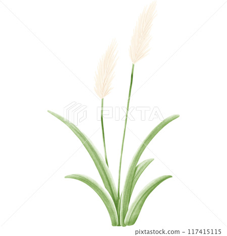 Wetlands clipart Png 117415115