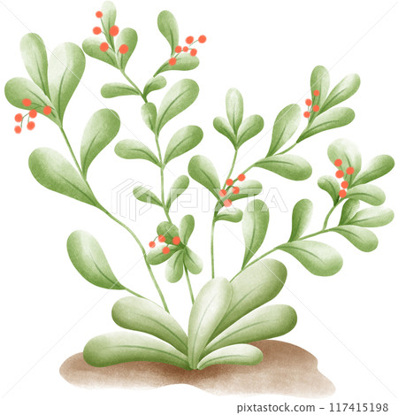 Wetlands clipart Png Wetlands clipart Png 117415198