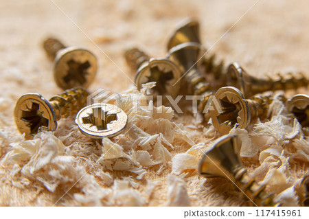 Close up wood threaded lag screw 117415961