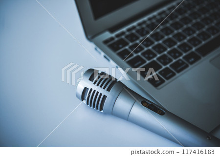 Microphone  117416183
