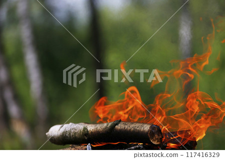 Fire in the forest. Burning firewood Fire in the forest. Burning firewood 117416329