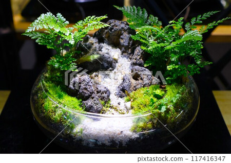 美麗的沙子、岩石和苔蘚玻璃容器 美麗的沙子、岩石和苔蘚玻璃容器 117416347