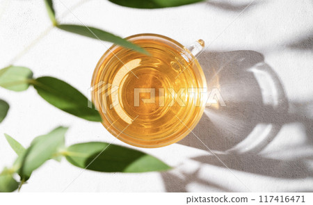 Fragrant herbal tea in a glass cup on a white background with eucalyptus branches and a hard shade. 117416471