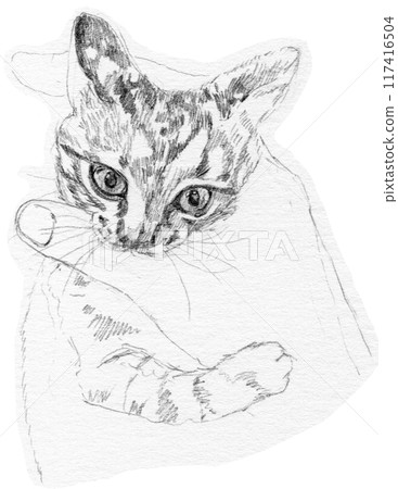 鉛筆畫一隻小貓咬別人的手 117416504