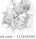 Pencil drawing of a cat being held by a person 117416505