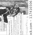 Pencil drawing of a cat relaxing on a bookshelf 117416506