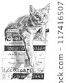 Pencil drawing of a cat sitting on a stack of books 117416507