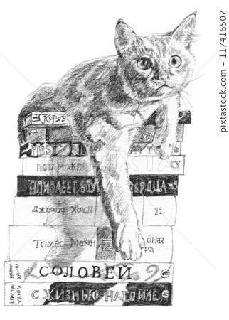 鉛筆畫一隻貓坐在一堆書上 117416507