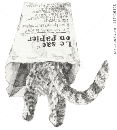 紙袋裡的貓鉛筆畫 117416508