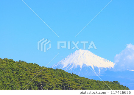 靜岡縣靜岡市三保松原和富士山的風景 117416636
