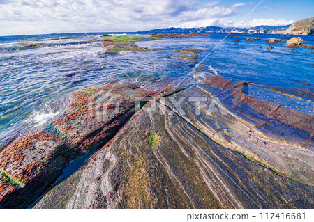 [Shizuoka Prefecture] Ebisu Island and Senjojiki in Izu Peninsula Geopark 117416681