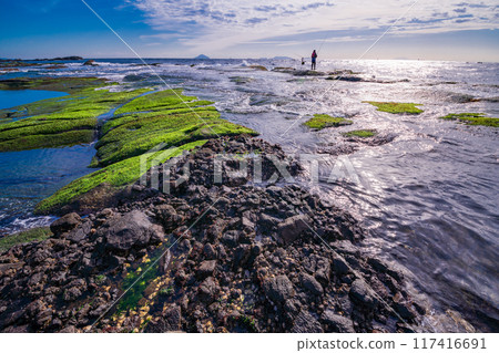 [Shizuoka Prefecture] Ebisu Island and Senjojiki in Izu Peninsula Geopark 117416691