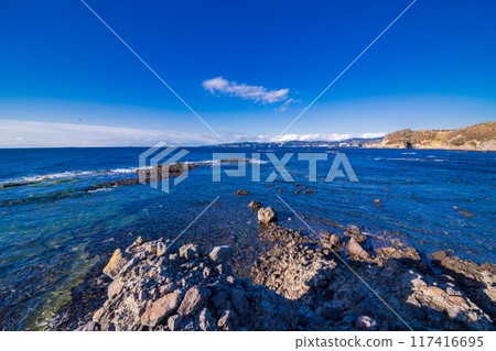 [Shizuoka Prefecture] Ebisu Island and Senjojiki in Izu Peninsula Geopark 117416695