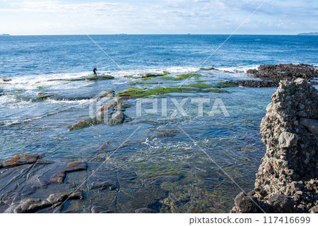 [Shizuoka Prefecture] Ebisu Island and Senjojiki in Izu Peninsula Geopark 117416699