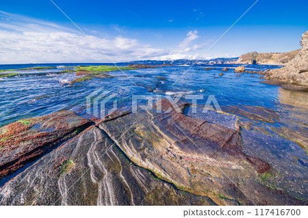 [Shizuoka Prefecture] Ebisu Island and Senjojiki in Izu Peninsula Geopark 117416700
