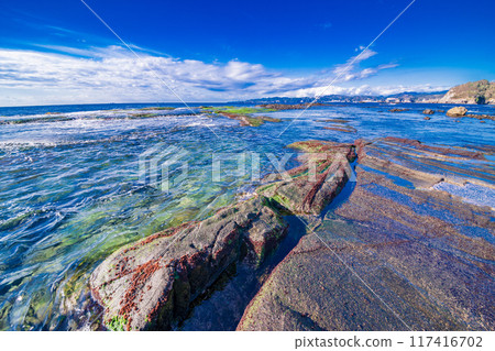 [Shizuoka Prefecture] Ebisu Island and Senjojiki in Izu Peninsula Geopark 117416702