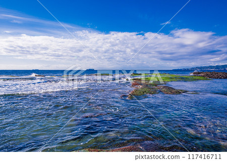 [Shizuoka Prefecture] Ebisu Island and Senjojiki in Izu Peninsula Geopark 117416711