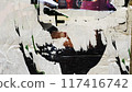 Collage of Old Colorful Posters. Ripped Torn Crumpled Paper. Wall Backdrop Placard Texture. Urban Street Posters Collage. Concert Posters Multilayered Seamless Loop Stop Motion 117416742