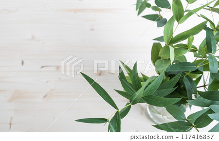 Branches of fresh eucalyptus in a vase on a light wooden background. Top view Branches of fresh eucalyptus in a vase on a light wooden background. Top view 117416837