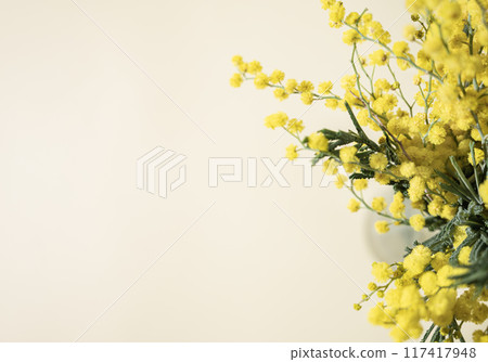 A bouquet of yellow mimosa flowers stands in a vase on a yellow background. A bouquet of yellow mimosa flowers stands in a vase on a yellow background. 117417948