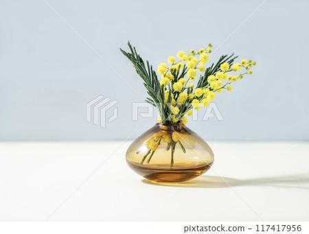 A bouquet of yellow mimosa flowers stands in a glass vase on a yellow  blue background. 117417956